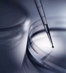 新鮮造血干細(xì)胞處理流程是怎樣的？需要注意什么？