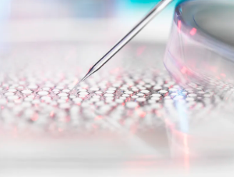 白血病干細(xì)胞移植哪家醫(yī)院技術(shù)領(lǐng)先？如何選擇最佳治療時(shí)機(jī)？