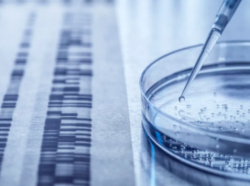 上海哪家干細(xì)胞免疫機(jī)構(gòu)醫(yī)院最受歡迎？