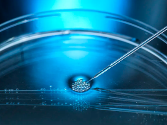 植物干細胞美容功效是否真的顯著？