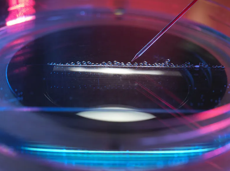 濰坊哪家干細(xì)胞捐贈(zèng)機(jī)構(gòu)值得信賴？