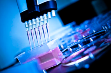 鹽城干細胞市場價格報告及趨勢分析。