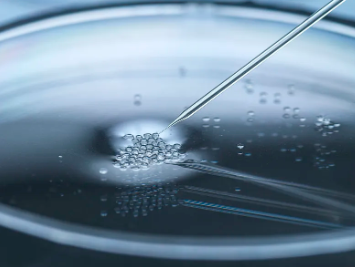 國際醫(yī)學研究如何應用干細胞技術？