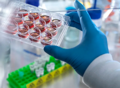 打干細(xì)胞對(duì)腦出血偏癱患者有效果嗎，可信嗎？