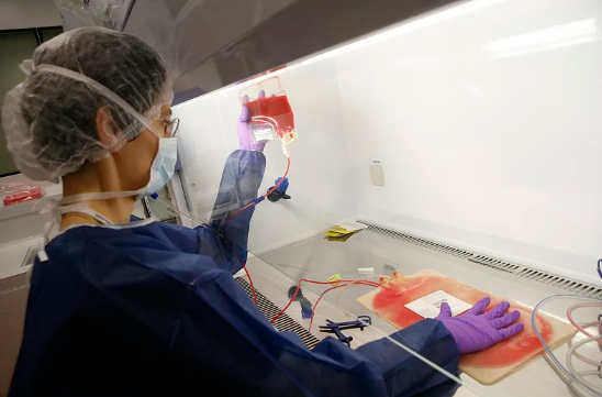 造血干細(xì)胞移植進(jìn)倉流程解析，需要注意什么？