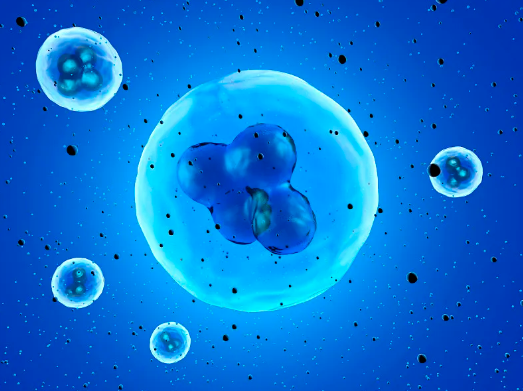 乳牙干細胞提取，功效與作用及價格一覽！