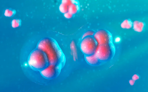 干細(xì)胞抗衰老效果如何，真的靠譜嗎？