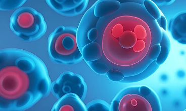 天津牙髓干細胞有哪些作用？應用前景如何？