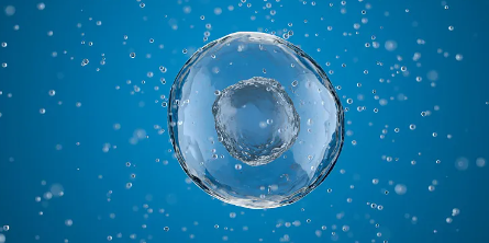 江蘇哪家機(jī)構(gòu)提供優(yōu)質(zhì)的造血干細(xì)胞存儲(chǔ)服務(wù)？