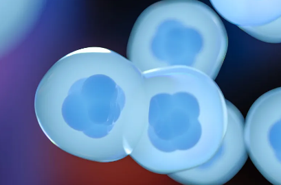 藍(lán)石干細(xì)胞高端抗衰技術(shù)如何？有何獨特優(yōu)勢？