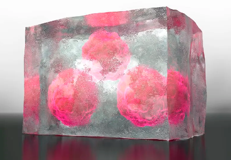 干細(xì)胞最新突破消息有哪些？對(duì)醫(yī)學(xué)領(lǐng)域有何影響？