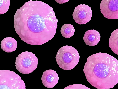 金華免疫干細(xì)胞作用及臨床應(yīng)用前景？