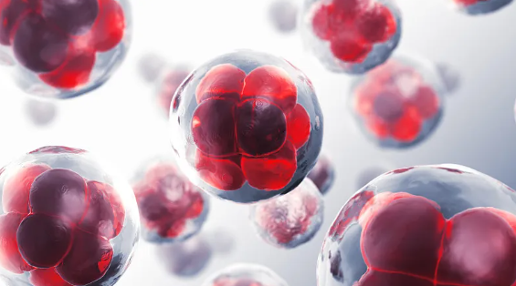 干細胞治療問題解答：如何有效修復(fù)損傷？