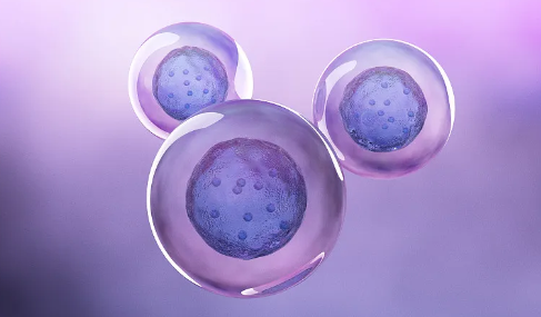 柳州哪家醫(yī)院干細胞注射技術最成熟？