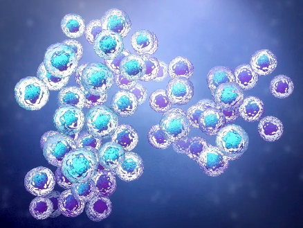 干細(xì)胞老化機制研究：揭秘衰老的秘密？