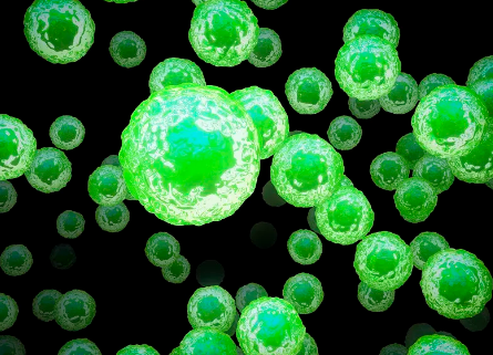 干細(xì)胞基因克隆價格如何？性價比高嗎？