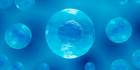 干細(xì)胞療法修復(fù)脊髓損傷效果怎樣？