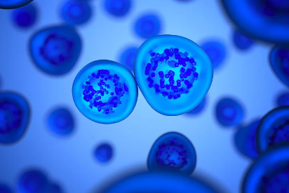 脊髓斷裂干細(xì)胞移植費(fèi)用貴嗎？如何申請(qǐng)？