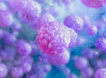 干細胞移植抗衰老真的有效嗎？專家解答。