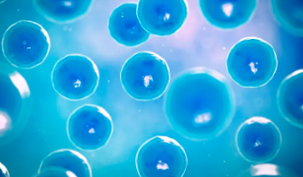 干細(xì)胞采集過(guò)程中手腳麻木是什么原因？