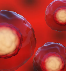 深圳權(quán)威干細(xì)胞測試機(jī)構(gòu)推薦與評價。