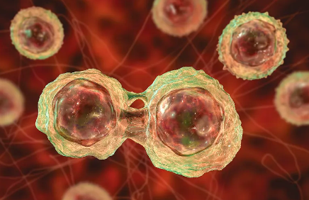 醫(yī)院打干細胞一針多少錢？性價比分析。