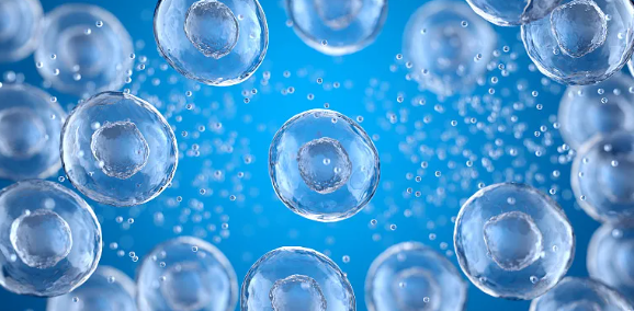 腦萎縮干細胞療法效果如何？哪種干細胞治療技術(shù)更先進？