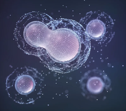 當前干細胞研究領域有哪些突破？未來發(fā)展趨勢是什么？