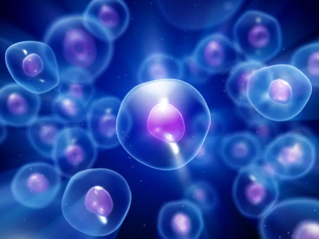 免疫干細胞提取費用貴嗎？哪家醫(yī)院提取技術成熟？