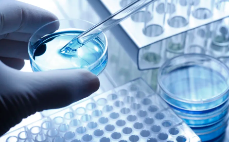 干細胞填充全過程視頻教程哪里找？需要注意哪些操作要點？