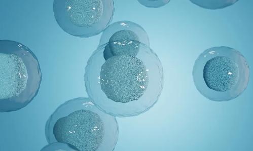 海南博鰲干細(xì)胞醫(yī)院聯(lián)系方式：預(yù)約掛號(hào)流程是怎樣的？