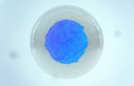 干細(xì)胞研究如何申請備案經(jīng)費？