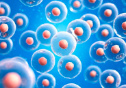 吉林哪家醫(yī)院擅長造血干細(xì)胞治療？