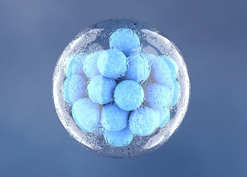 杭州免疫干細(xì)胞如何發(fā)揮治療作用？