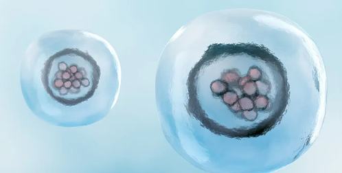 干細胞治療終身不孕效果怎么樣？