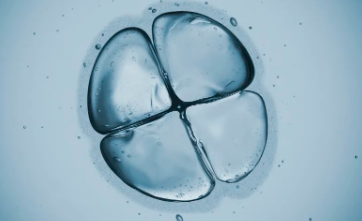 蘋(píng)果干細(xì)胞功效有哪些案例？