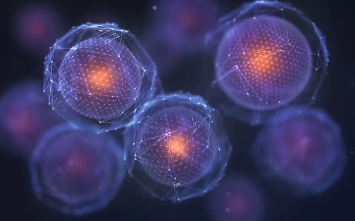 哪里可以打干細(xì)胞抗衰老針？