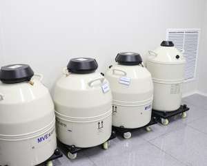 廈門三代試管嬰兒的價格多少錢