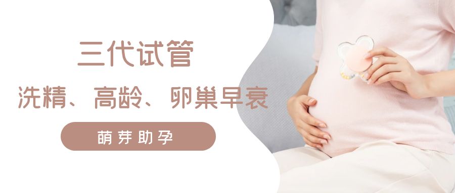 上海試管成功案例分享：從嘗試到成功的旅程