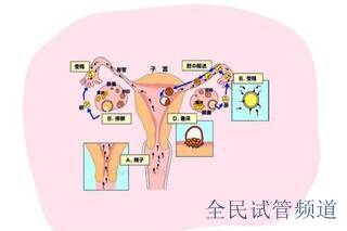 〖去泰國做試管大概費用多少，具體價格與流程詳解〗