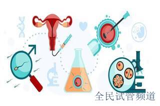 2026惠州試管中心哪家好,費用技術(shù)全面解析