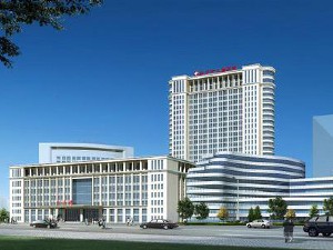 武漢市婦女兒童醫(yī)療保健中心