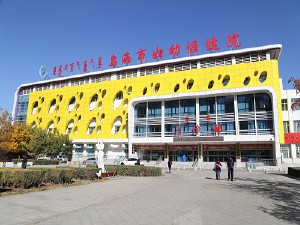 烏海市婦幼保健院