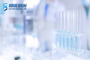 新建區(qū)親子鑒定收費明細(xì)一覽（2025新鑒定報價）