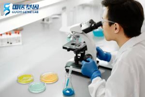 濟(jì)南司法親子鑒定中心地址大全（附2025年最新親子鑒定流程一覽）""