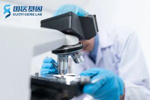 東莞司法親子鑒定收費(fèi)標(biāo)準(zhǔn)一覽表（附2025年收費(fèi)明細(xì)）