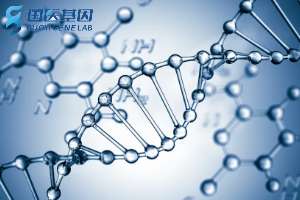 鄭州25所辦理親子鑒定機構（附2024地址一覽）