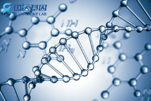 收藏！鄭州25間辦理親子鑒定的地方（附2025年匯總鑒定）