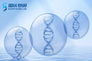 北京親子鑒定收費標(biāo)準(zhǔn)一覽表（附2025費用一覽）