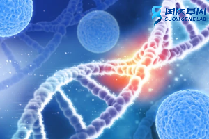 合肥親子鑒定收費標準名單表（附2025價格一覽）